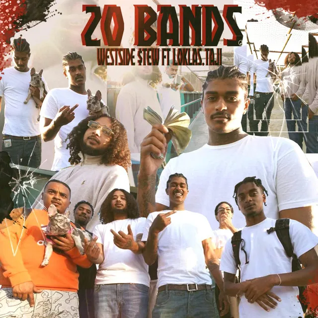 20 Bands