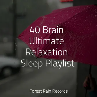 40 Brain Ultimate Relaxation Sleep Playlist by Unknown Artist