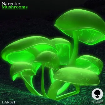 Mushrooms by Narcotex