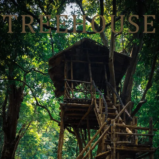 TreeHouse