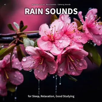 #1 Rain Sounds for Sleep, Relaxation, Good Studying by Calming Sounds