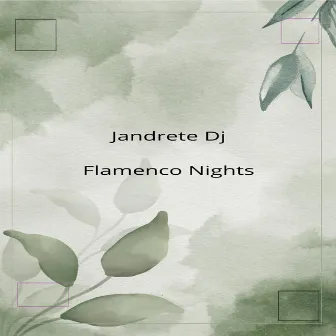 Flamenco Nights by Jandrete DJ