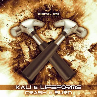 Crash & Burn by Lifeforms