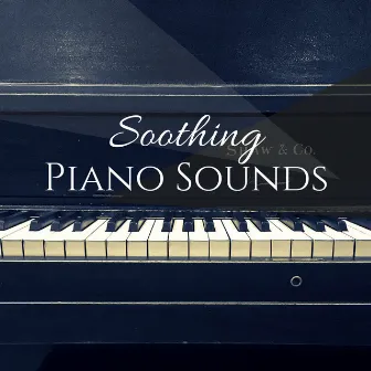 Soothing Piano Sounds - Beautiful Soundtrack for the Mind, Stress Relief Calming Music by Soothing Motion