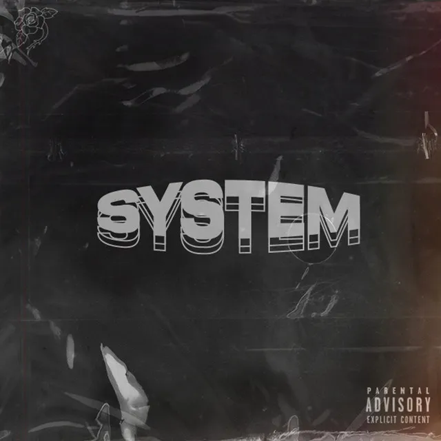 System