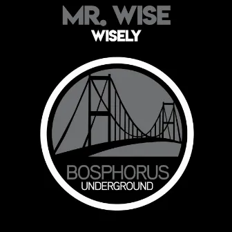 Wisely by Mr. Wise