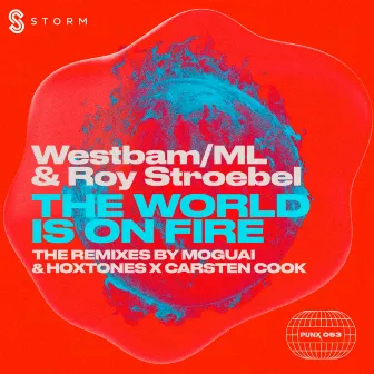 The World Is On Fire Remixes by Roy Stroebel