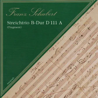 Franz Schubert: Streichtrio B Dur D111 A by Tobias Lea