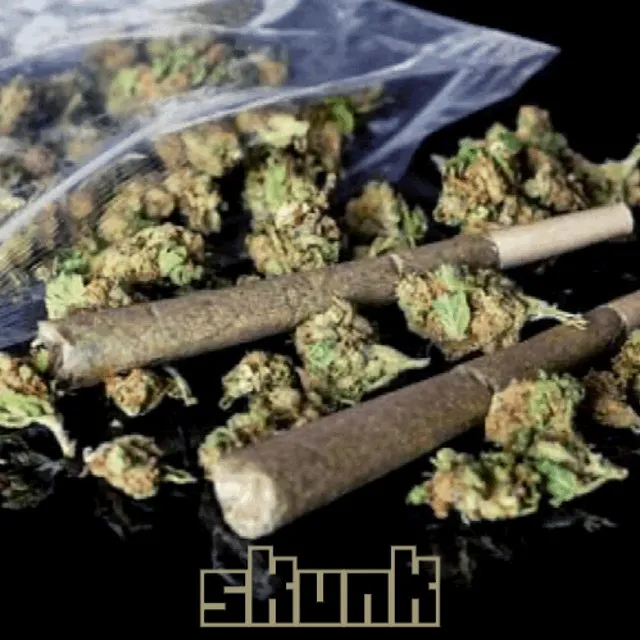 Skunk