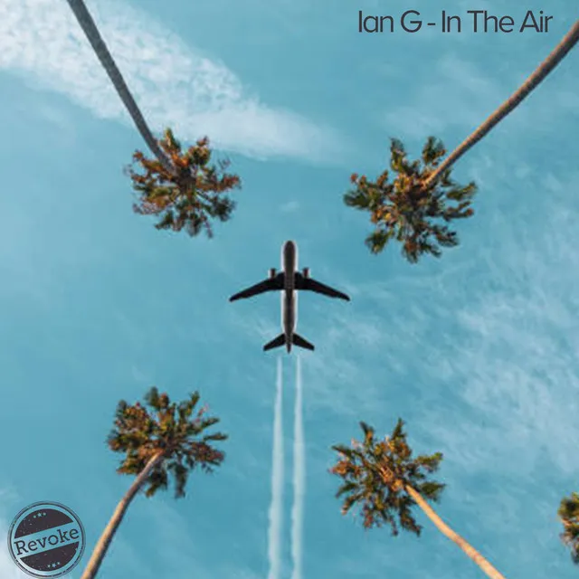 In the Air - Extended Mix