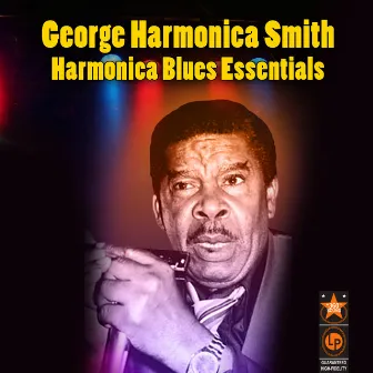 Harmonica Blues Essentials by George 