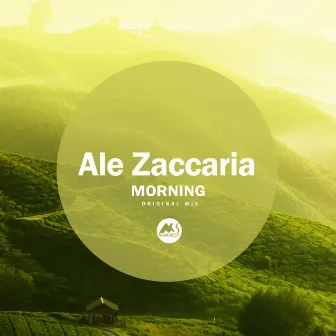 Morning by Ale Zaccaria