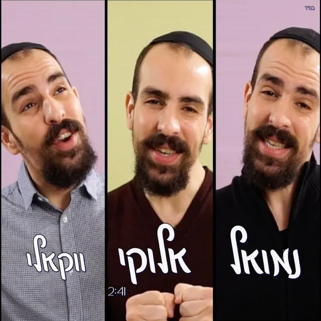 אלוקי - ווקאלי