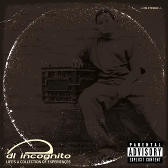 Life's a Collection of Experiences by DL Incognito