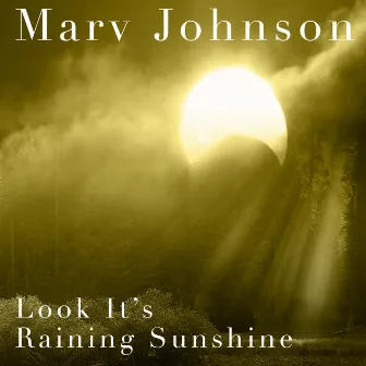 Look It's Raining Sunshine by Marv Johnson