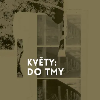 Do tmy by Květy