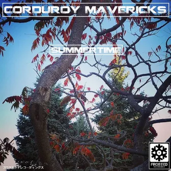 Summertime by Corduroy Mavericks