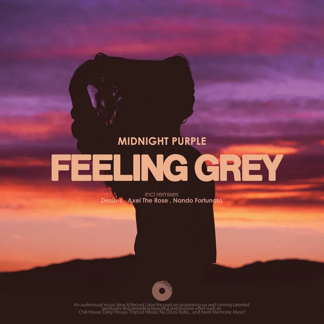 Feeling Grey - Desib-L Remix