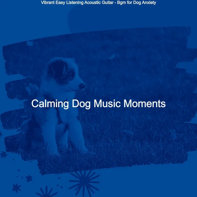 Vibrant Easy Listening Acoustic Guitar - Bgm for Dog Anxiety