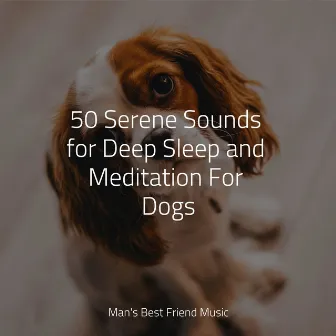 50 Serene Sounds for Deep Sleep and Meditation For Dogs by Relaxmydog