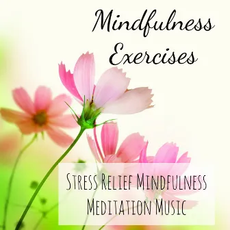 Mindfulness Exercises - Stress Relief Mindfulness Meditation Music for Soft Dream Massage Therapy by Naturescapes for Mindfulness Meditation