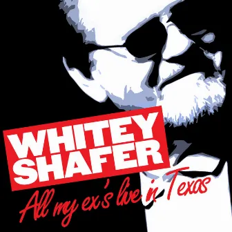 All My Ex's Live in Texas by Whitey Shafer