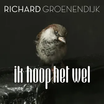 Ik Hoop Het Wel by Richard Groenendijk