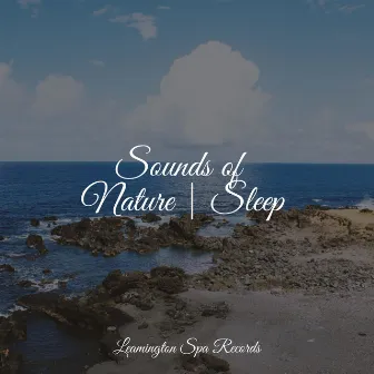 Sounds of Nature | Sleep by Sound Healing Center