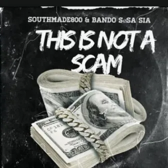 This Is Not A Scam by Bando Sosa Sia