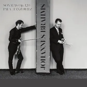 Johannes Brahms: Sonatas OP. 120 by Milan Pala