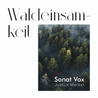 Waldeinsamkeit by Sonat Vox