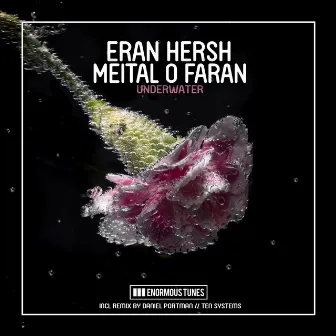 Underwater (Daniel Portman Remix) by Meital O Faran