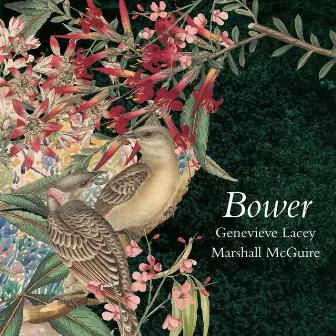 Bower by Genevieve Lacey