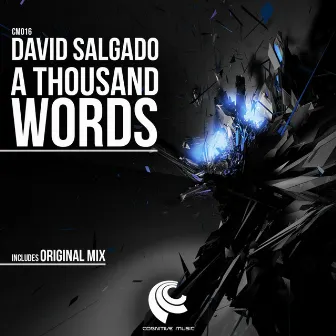 A Thousand Words by David Salgado