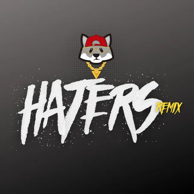 Haters ( Remix )