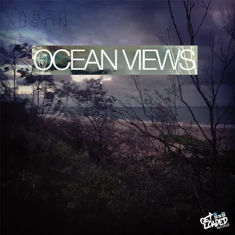 Ocean Views by Jared Austin