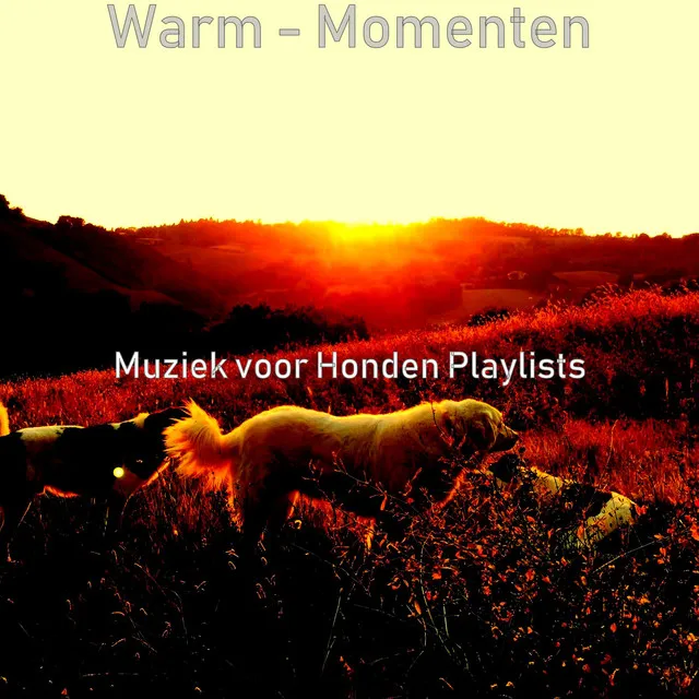 Warm - Momenten