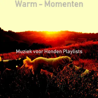 Warm - Momenten by Muziek voor Honden Playlists