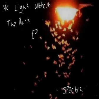 No Light Without the Dark Ep by Spectre