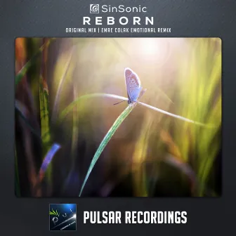 Reborn by SinSonic