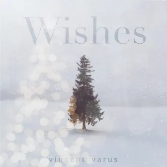 Wishes by vincent varus