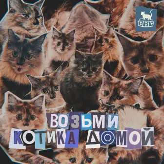 Возьми котика домой by Bubble Bath Cat