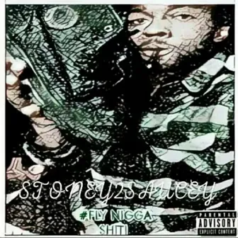 FNS by Stoney2saucey