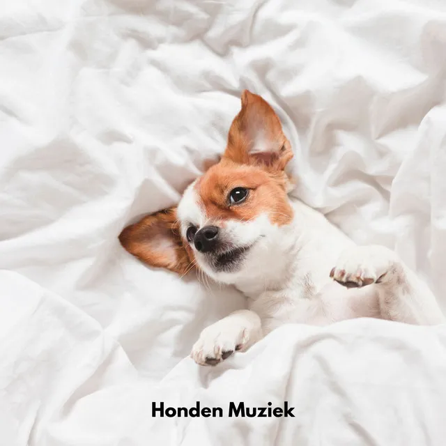 Honden Muziek