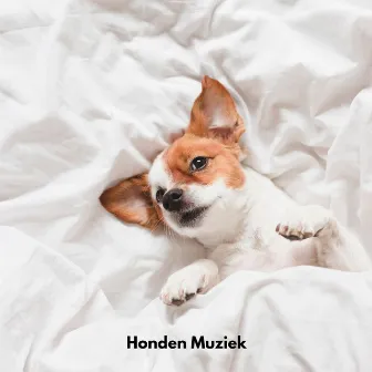 Honden Muziek by Honden Muziek Universum