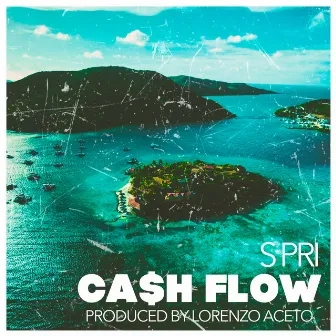 Cash Flow by S Pri