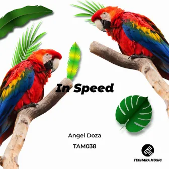 In Speed by Angel Doza