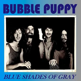 Blue Shades of Gray by The Bubble Puppy