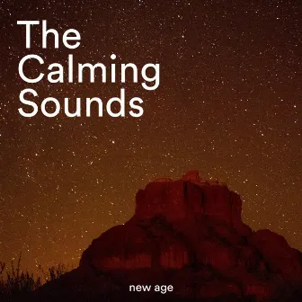 The Calming Sounds - Instrumental Music with Nature Sounds by Hot Stones Front