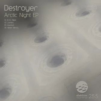 Arctic Night EP by Destroyer